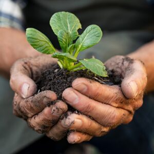 Introduction to Regenerative Gardening