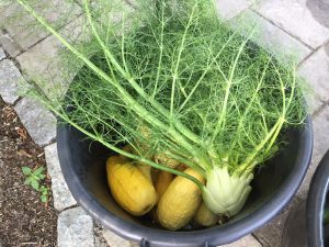 Read more about the article A Milestone Reached