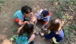 Read more about the article Taking Root at Crows’ Feat Farm!