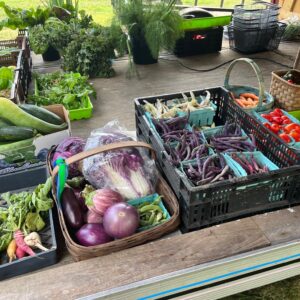 2024 Crows’ Feat Farm Share – Large Basket