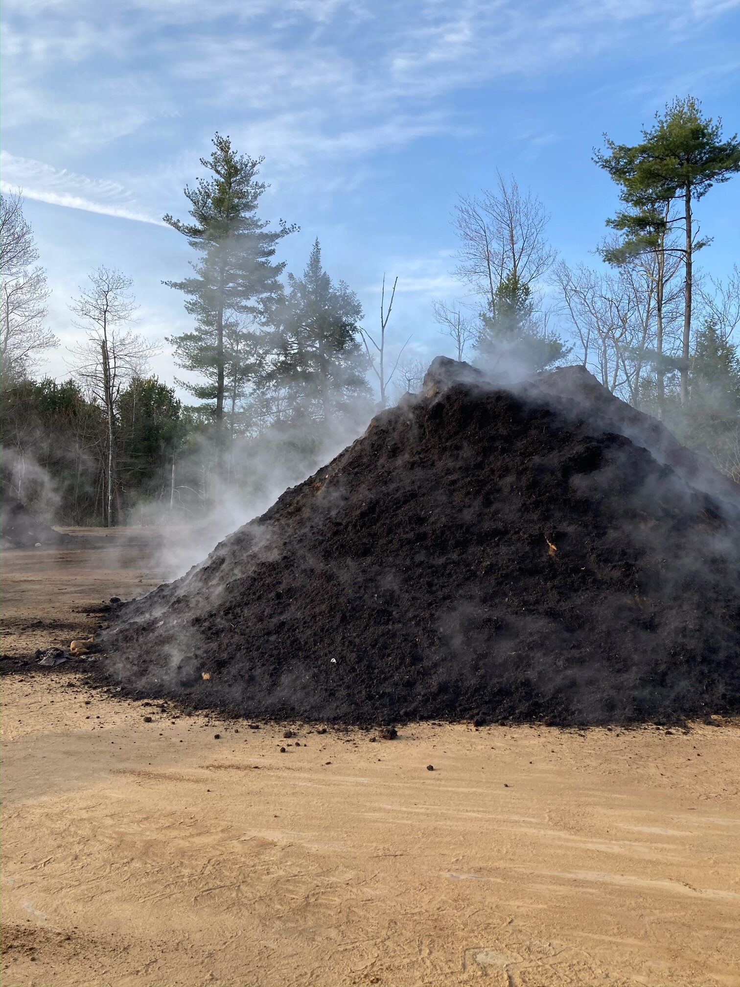 You are currently viewing We Get by With a Lot of Help from Our Friends