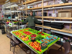 Read more about the article Harvest Sunday