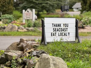 Read more about the article Giving Thanks by Giving Back