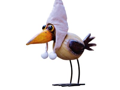 Alicia's Crow